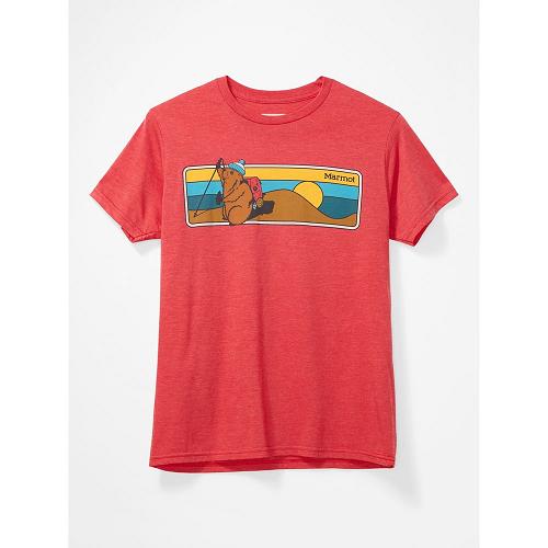 Marmot Hiking Marty Clothes - Mens T-Shirts Red CA6495283 Canada